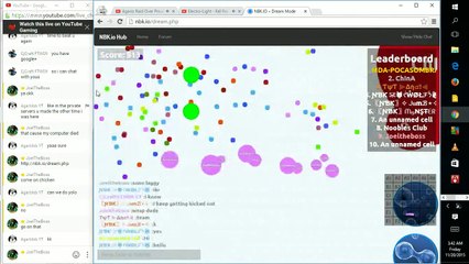 Agario Raid Over Private Server