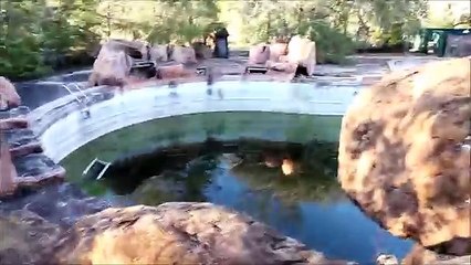 Un parc Disney abandonné depuis 15 ans