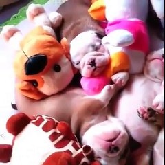 Wednesday morning feels