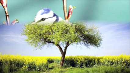 May and September - band: Heatwave Drum - album: Following The Traced Line