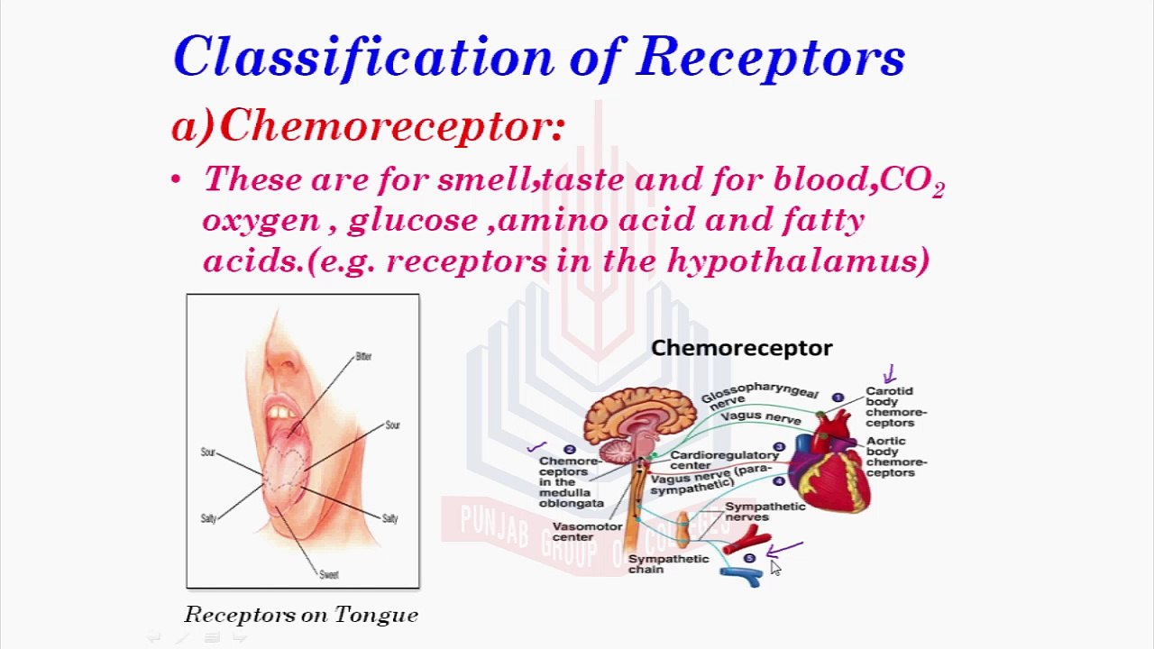 Receptors  & Classification of Receptors