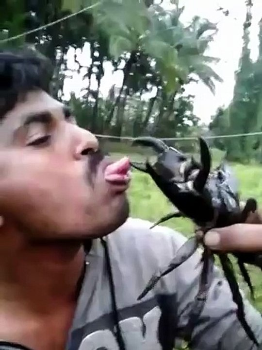 L'Homme Le Plus Stupide Du Monde