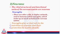 Neurons & Types of Neurons.