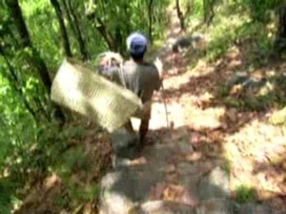 Trek