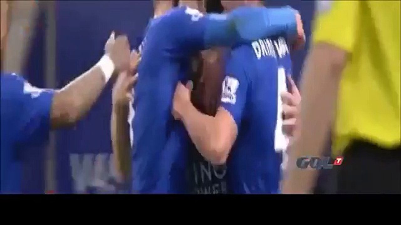 岡崎慎司　オーバーヘッド弾！！　Shinji Okazaki Amazing Bicycle Kick Goal (vs Newcastle) (FULL HD)
