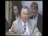 Congressional Committee on Science & Tech - Renewables - Dr. Michaels - Solar