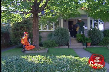 Cutting The Wrong Tree Gag