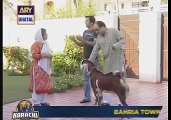 BulBulay Episode 391,HD Episode March 2016 -