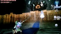 Zelda Twilight Princess - Link vs Zelda