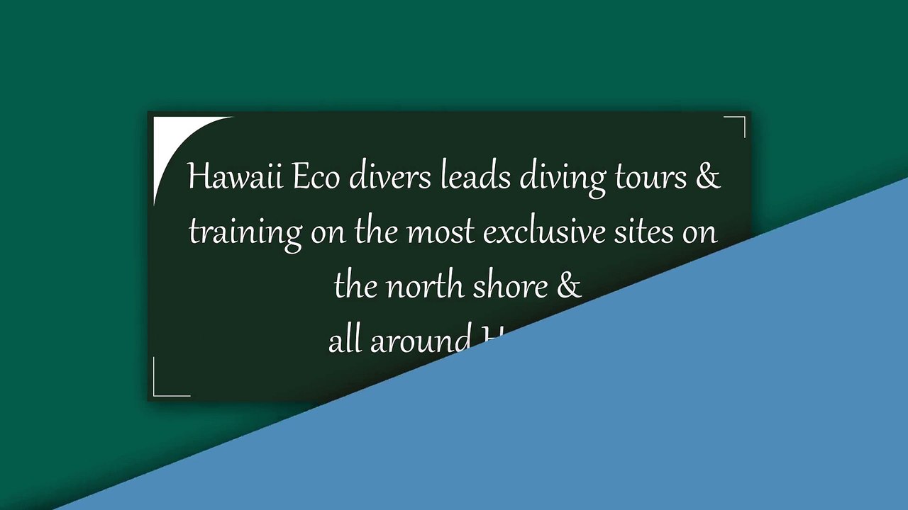 Hawaii Eco Divers – Your Trusted Guide for Scuba and other Thrilling Sports