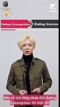 [Vietsub] CHEMITEST - WINNER Tae Hyun [SOWTeam]