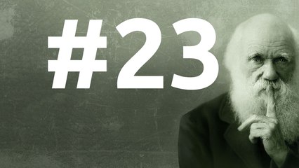 SLEDD#23 du 26 février 2011, La course de la Reine Rouge