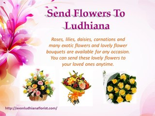 Ludhiana Florist