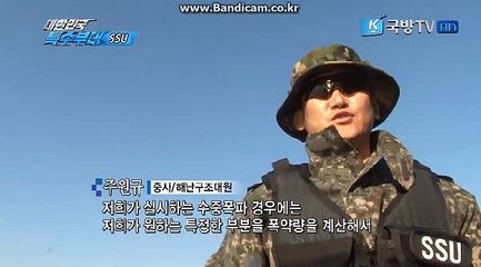 #토토 솔루션 제작 전문 카톡:haricuty 스카이프:haricuty