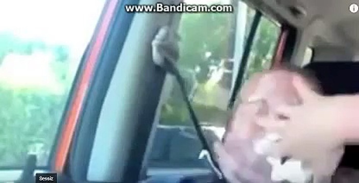 En iyi Esek sakalari :)