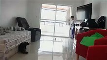 Crazy Cat Goalkeeper