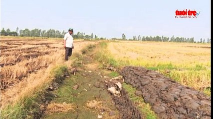 Ngang nhiên lấn chiếm hệ thống thủy lợi