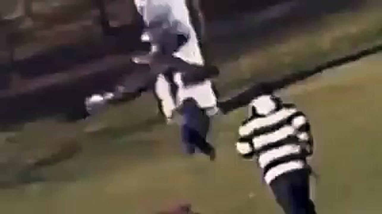 باز يسرق طفل