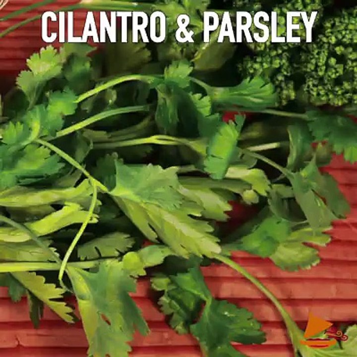 Moroccan Slow Cooked Chicken (Chicken Tangine).