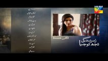 Zindagi Tujh Ko Jiya Episode 22 Promo HUM TV Drama 28 March 2016