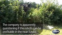 Google Robots Future of Earth