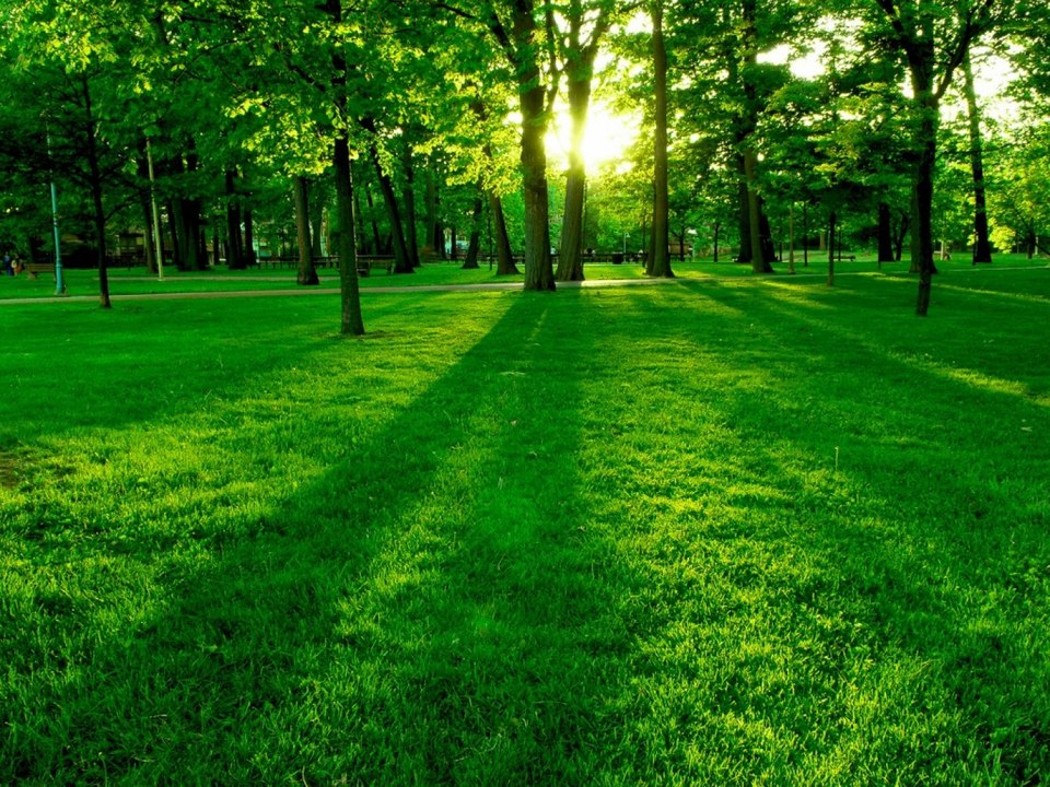 Qué significa soñar con parques y plazas - Sueño Significado