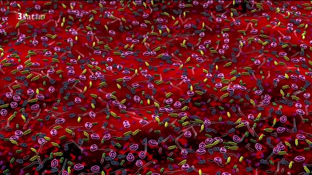 Stimmen aus dem Bauch - 2013 - Wie der Darm unser Leben bestimmt -by ARTBLOOD