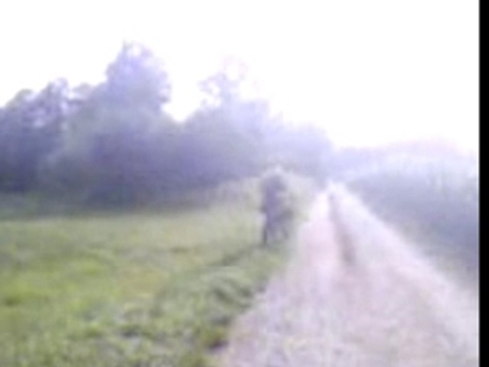 revo test