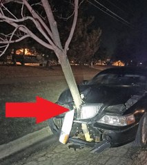 Ivre, elle roule avec un arbre à travers sa voiture