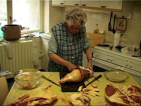 LE CANARD SOUS TOUTES SES FORMES