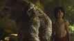 The Jungle Book Movie CLIP - Hibernation (2016) - Scarlett Johansson, Idris Elba Movie HD