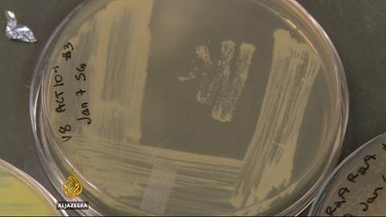 Canadian scientists seek natural cure for superbug infections