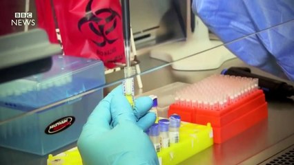 Why is Zika a public health emergency? BBC News