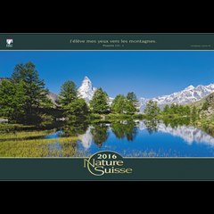 38.   RETOUR  AU  PAYS  ( Au Carrefour de Ma Vie )