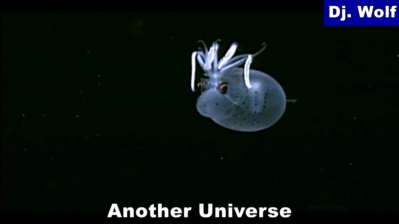 Dj. Wolf - Another Universe