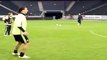 Zlatan Ibrahimovic goes on a mad one at Sweden training - Chip Goal and Volley Goal Amazing!