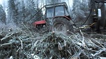 Belarus Mtz 1025 forestry tractor in action