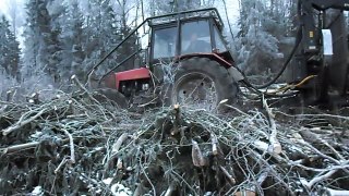 Belarus Mtz 1025 forestry tractor in action