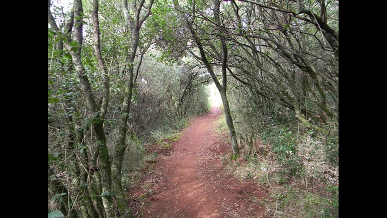 RANDONNEE TOUR DU SALAGOU MARS 2016