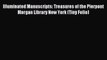 Read Illuminated Manuscripts: Treasures of the Pierpont Morgan Library New York (Tiny Folio)