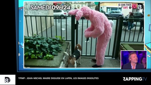 TPMP : Jean-Michel Maire déguisé en lapin géant tout le week-end, les images insolites (vidéo)