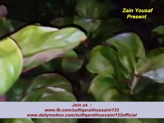 New Salam ( Ya Shafi-Ul-Wara ) By Zulfiqar Ali Hussaini 26 March 2016 At Mazaar Of Marhoom Habib Nazeerally Mauritius