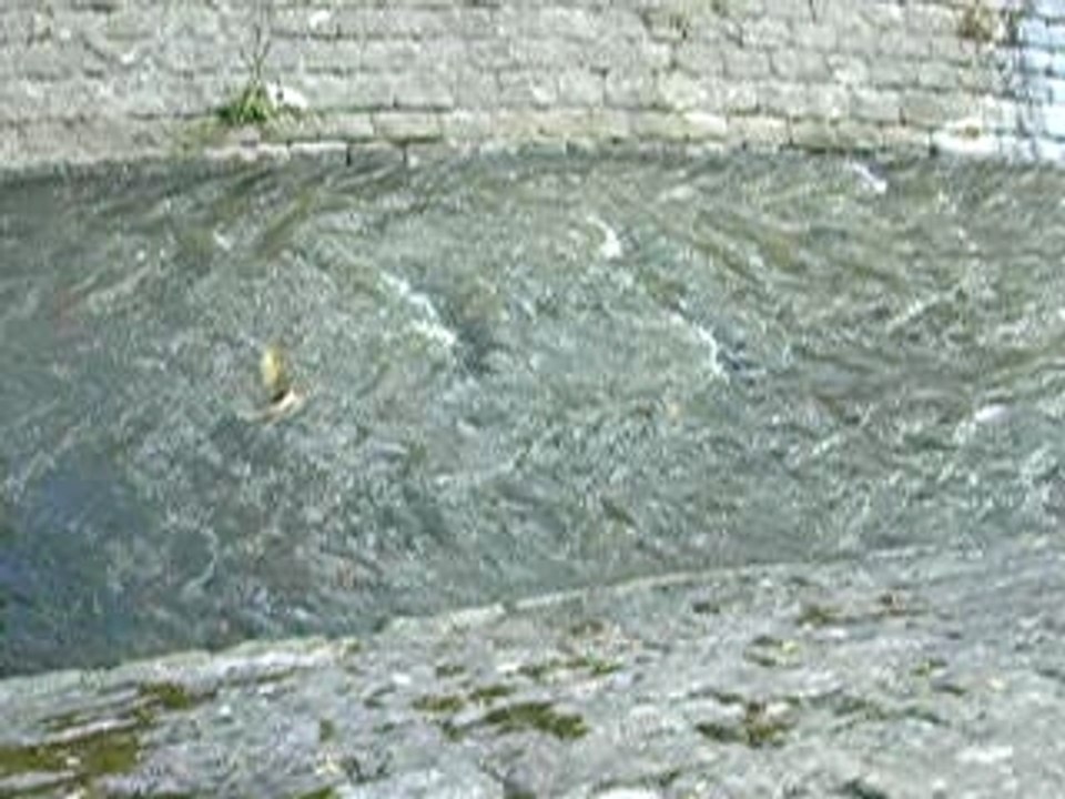 Pictures 028