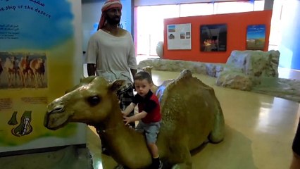 Детский музей _ Creekside Park Dubai _ Крик парк дубай _ Entertainment for children