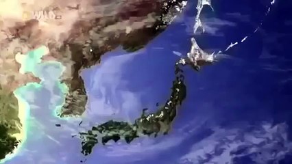 Japan wildlife Nature documentary films HD26