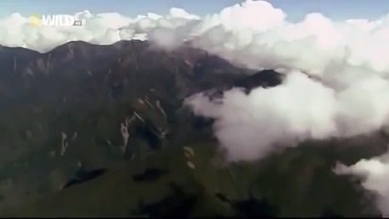 Japan wildlife Nature documentary films HD49