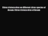 Read Citrus tristeza virus on different citrus species of Assam: Citrus tristeza virus of Assam