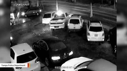 Thieves In Tampa Steal Eight Cars From A Dealership