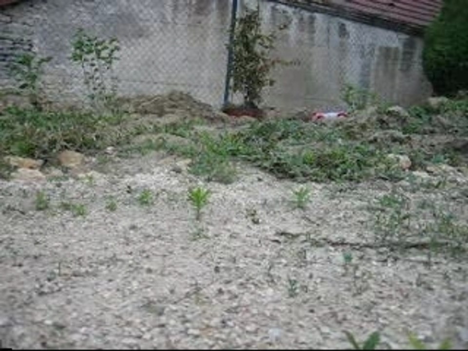 Session Overland à Longchamp (10/06/07) - v. anglaise