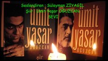 SEVİ